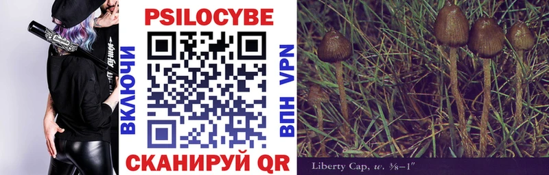 Купить  Кодинск  Псилоцибиновые грибы прущие грибы 